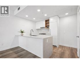 A white kitchen with a sink and a plant on the counter.