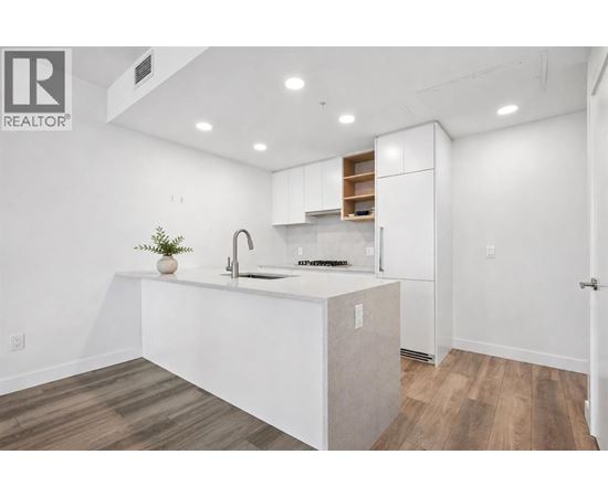 A white kitchen with a sink and a plant on the counter.