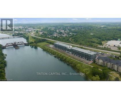 A brochure for Triton Capital Inc. in Brokerage is displayed.