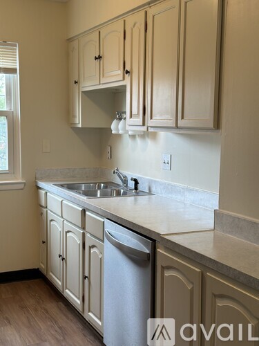 A kitchen with a sink and cabinets.