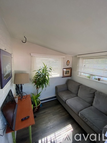 A living room with a grey couch, a wooden table with a laptop and a plant on it, and a window with blinds.