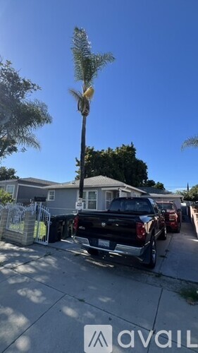 A tall palm tree stands in a residential street.