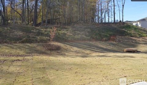 A grassy field with trees in the background and a house on the right.