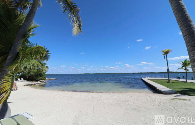 A beach scene with palm trees and a clear sky.