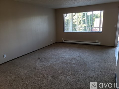 A room with a window and a carpeted floor.