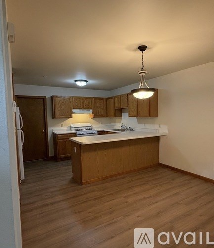 A kitchen with wooden cabinets and a countertop.