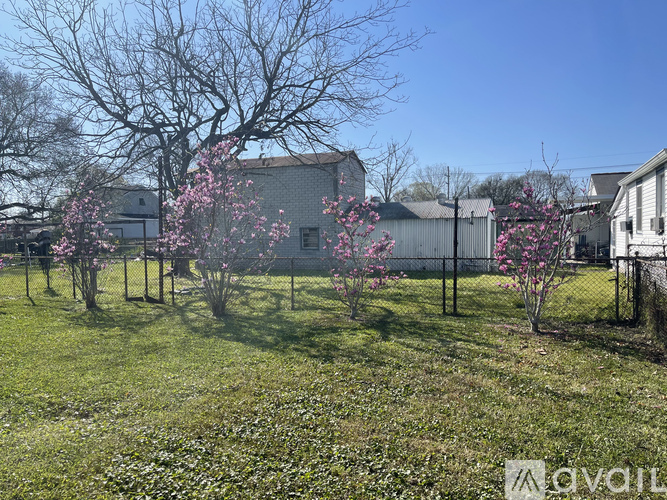 A tree with pink blossoms stands in a grassy field.