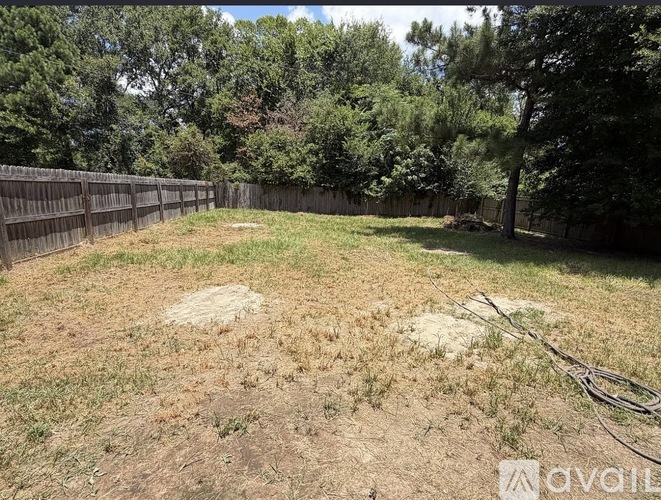 A backyard with a fence and trees.