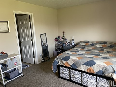 A bedroom with a bed, a dresser, and a door.