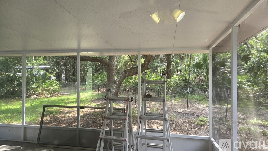 A ladder is leaning against a wall in a room with a view of trees outside.