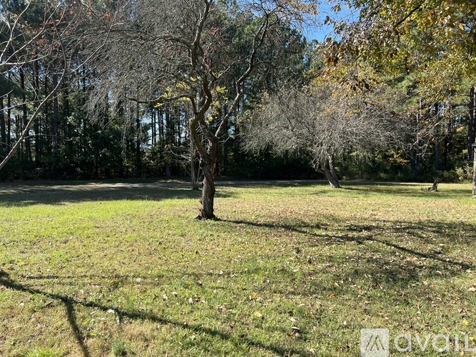 A grassy field with trees and a clear sky.