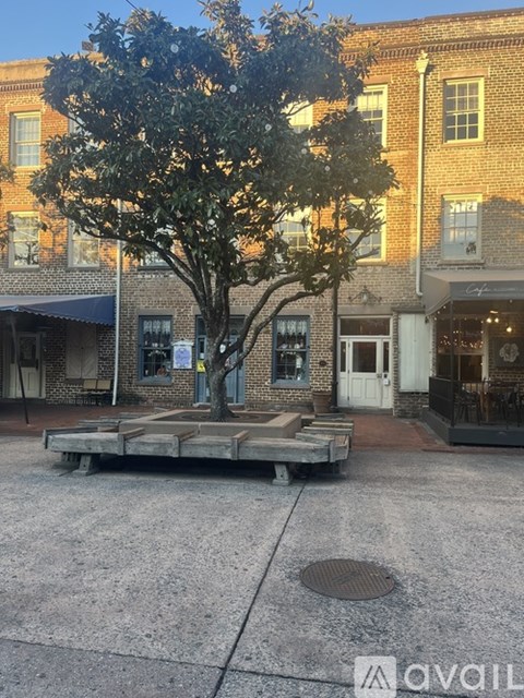 A tree in a planter sits in front of a building.