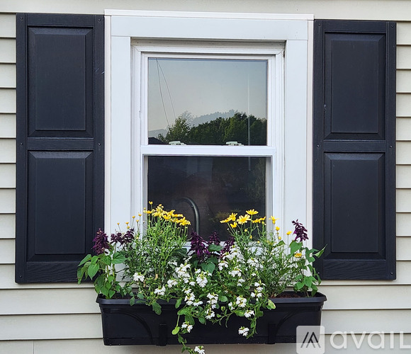 A window with black shutters and a window box with flowers.