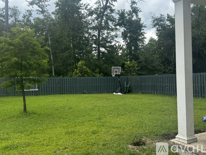A basketball hoop is in the background of a grassy yard.