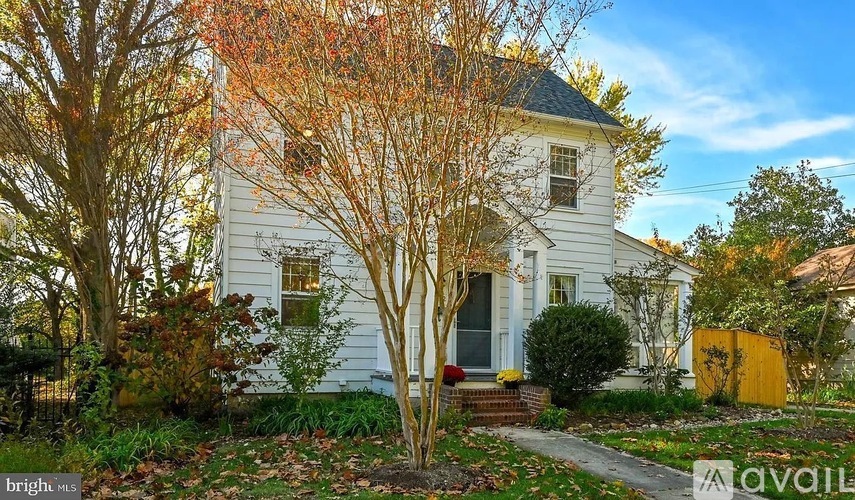 222 Mount Vernon Avenue 4 Beds Single Family Home for Rent - Photo gallery 2