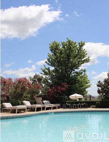 A pool surrounded by chairs and trees.