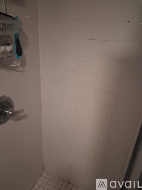 219 Franklin Street 1 Single Family Home for Rent - Photo gallery 3
