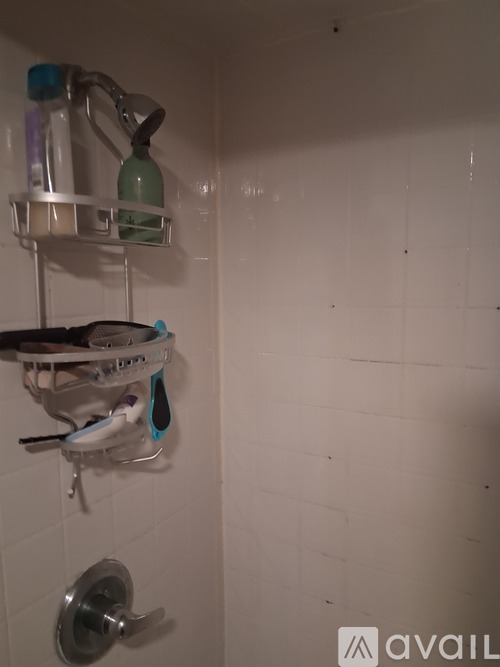 219 Franklin Street 1 Single Family Home for Rent - Photo gallery 4