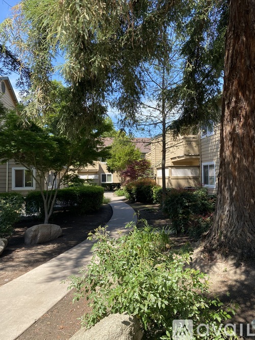 2300 Oakdale Road 1 Apartment for Rent - Photo gallery 4
