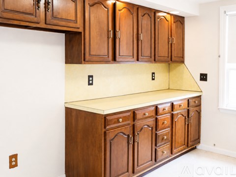 A kitchen with wooden cabinets and a countertop.