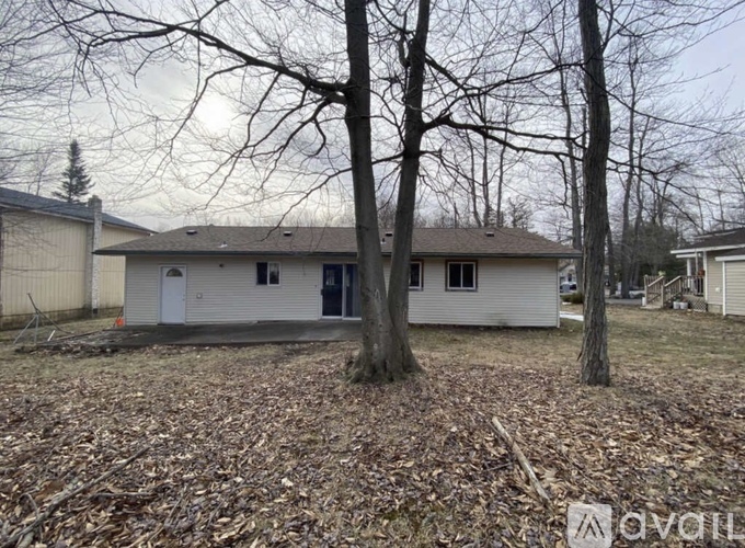 A house with a white exterior and a grey roof is surrounded by bare trees and a ground covered in fallen leaves.