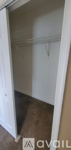A white closet with a carpeted floor and a door open.