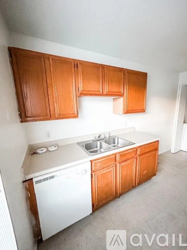 A kitchen with wooden cabinets and a white dishwasher.