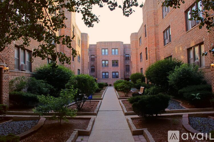 3724 North Pine Grove Avenue 1 Apartment for Rent - Photo gallery 1