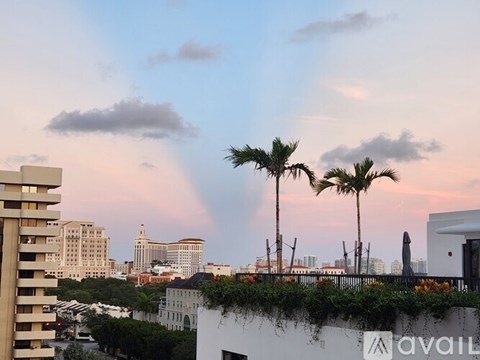 A cityscape with palm trees and a rainbow in the sky.