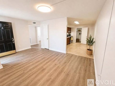 A room with wooden flooring and white walls, with a door on the left and a plant on the right.