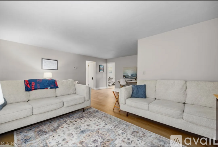 A living room with two couches and a rug.