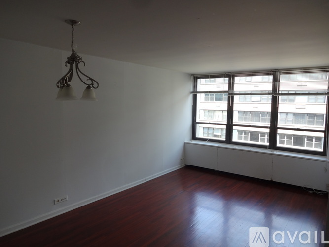 222 East Pearson Street 1 Condo for Rent - Photo gallery 2
