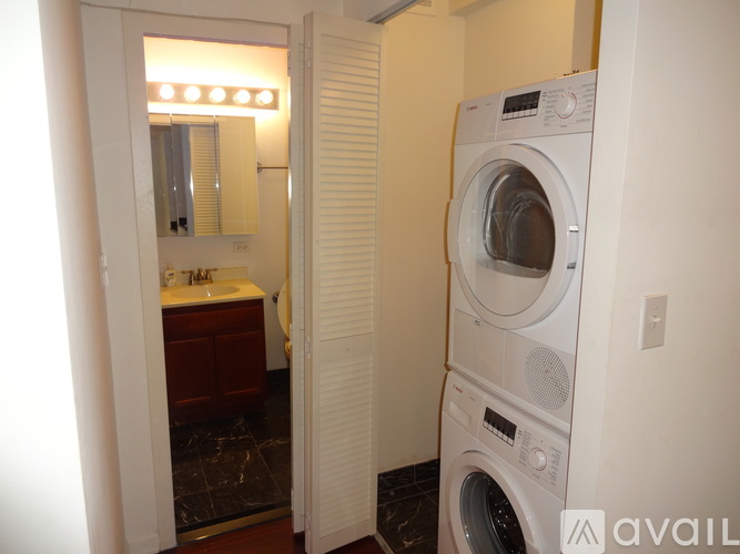 222 East Pearson Street 1 Condo for Rent - Photo gallery 4