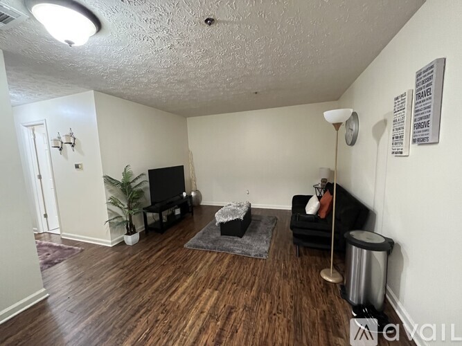 A living room with a black couch, a television, and a plant.