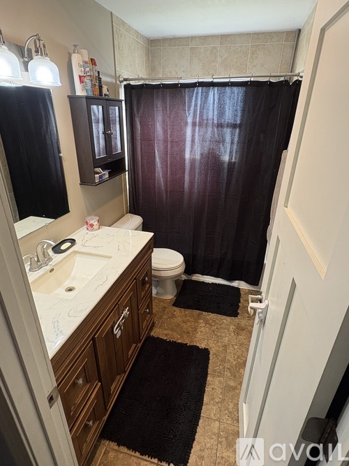 A bathroom with a sink, toilet, and shower curtain.