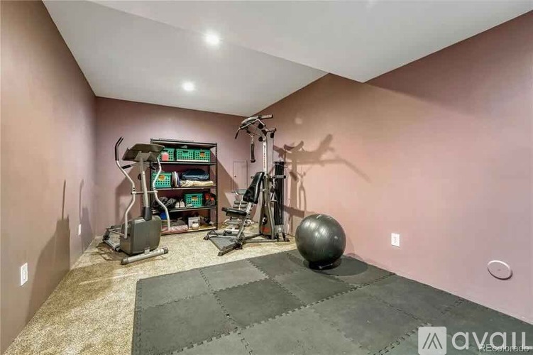 A home gym with exercise equipment and a large ball.