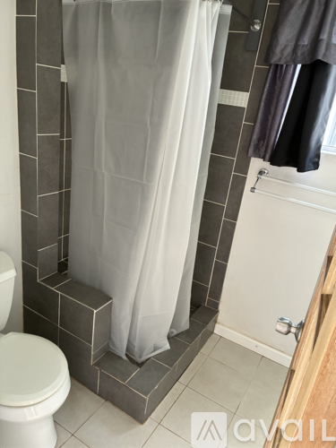 A white toilet sits next to a shower curtain in a bathroom.