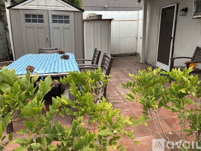 A table with a blue and white checkered tablecloth is surrounded by chairs and plants.
