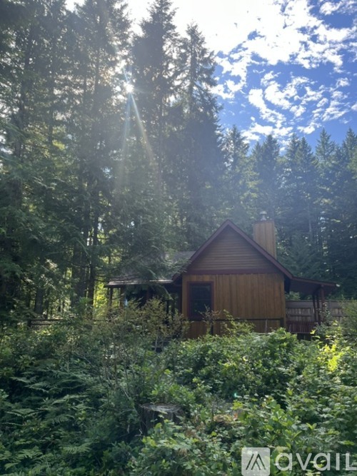 A cabin in the woods with sunlight streaming through the trees.