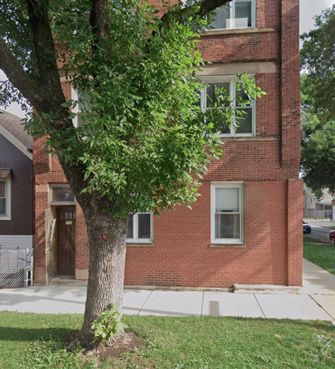 A tree with green leaves is in front of a red brick building.