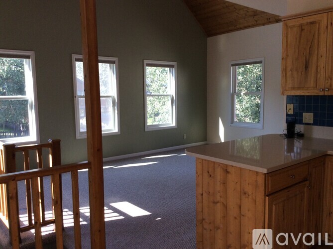 A kitchen with wooden cabinets and a countertop with a window in the background.