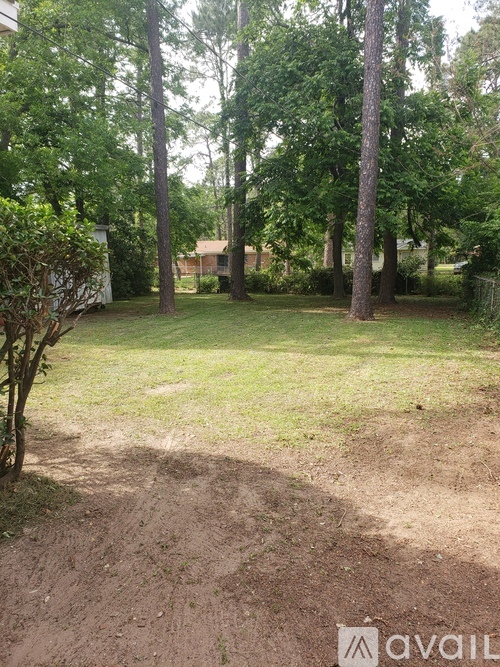 A backyard with a dirt path and trees.
