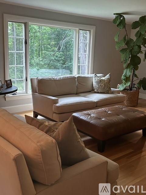 A living room with a couch, ottoman, and a plant.