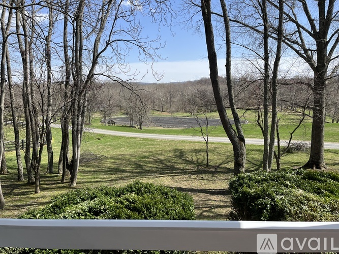 5447 Rallywood Farm Lane 4 Beds Single Family Home for Rent - Photo gallery 4