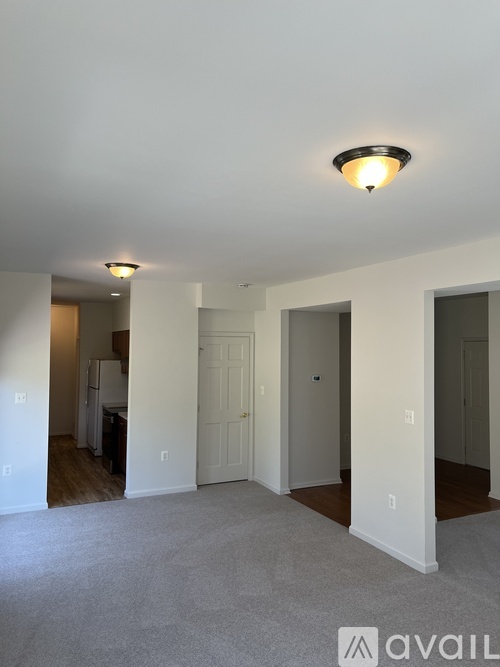 A spacious room with a carpeted floor and a ceiling light.