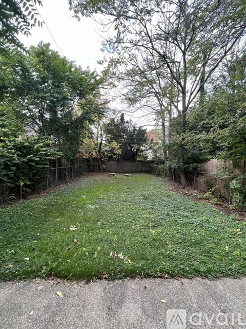 A backyard with a grassy area and trees.