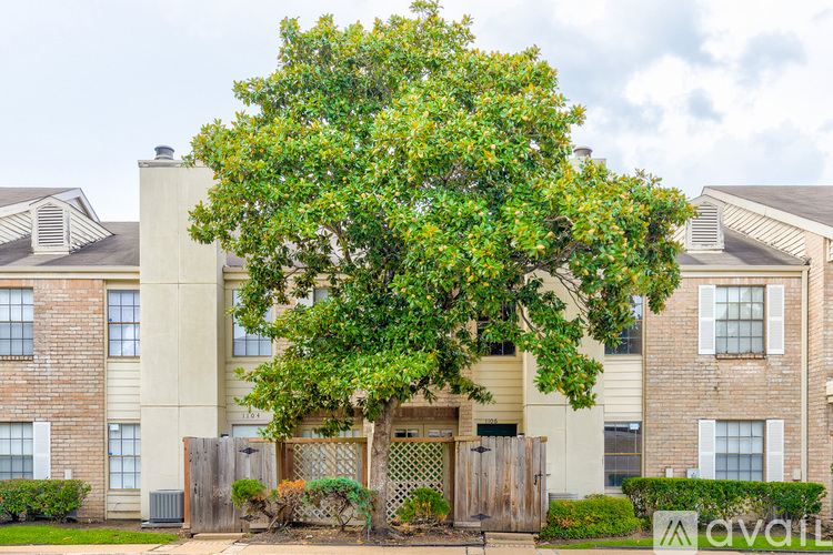 A tree in front of a building with the word "aval" on it.