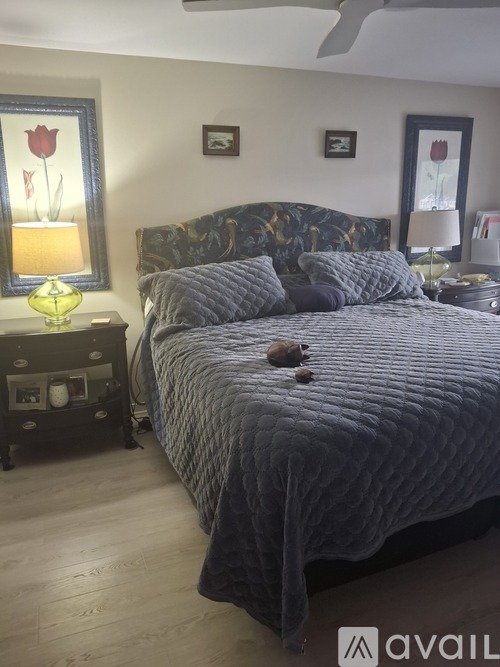 A bedroom with a large bed and a nightstand with a lamp.