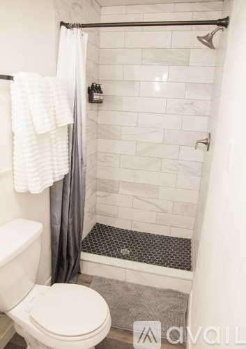 A white toilet sits next to a walk-in shower with a grey shower curtain.