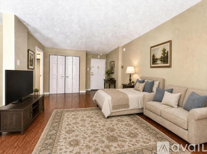 A living room with a couch, a television, and a rug.